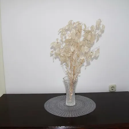 Lägenhet Ana Bibinje