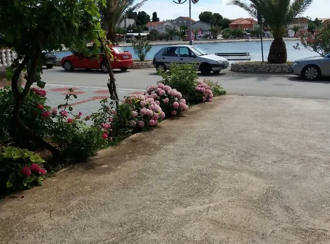 Ana Apartman