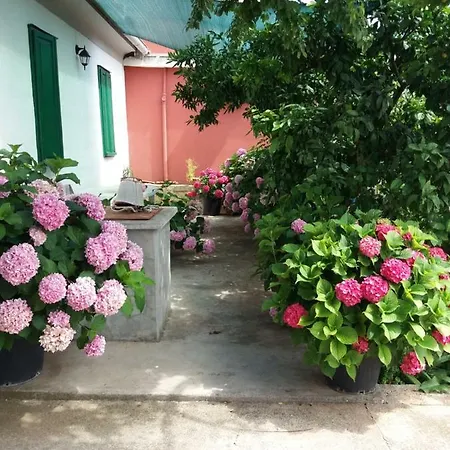 Apartmán Ana Bibinje