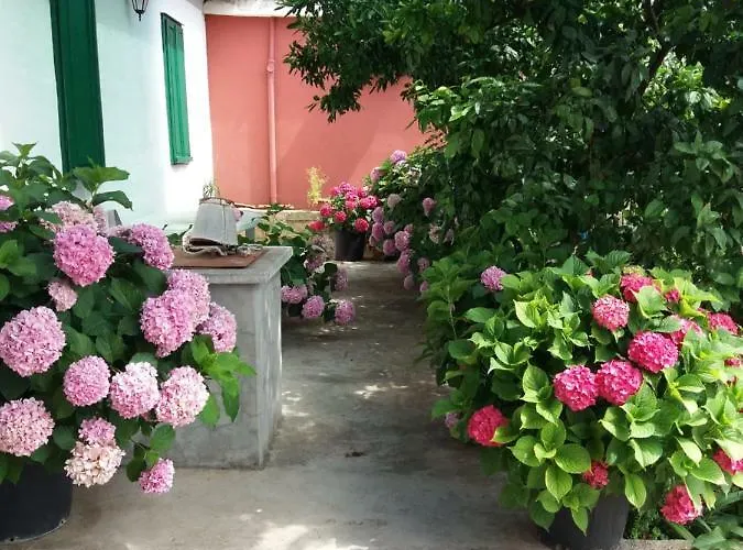 アパート Ana ビビニェ