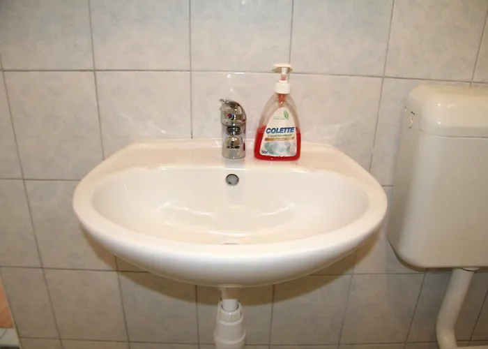 アパート Ana ビビニェ