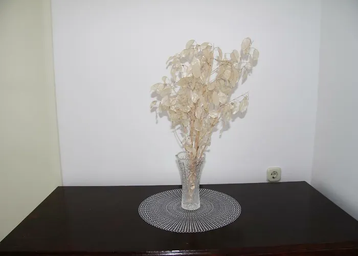 アパート Ana ビビニェ